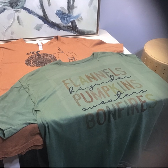 Fall pumpkins bundle of two Women’s 2X Darling Tees - Picture 6 of 7